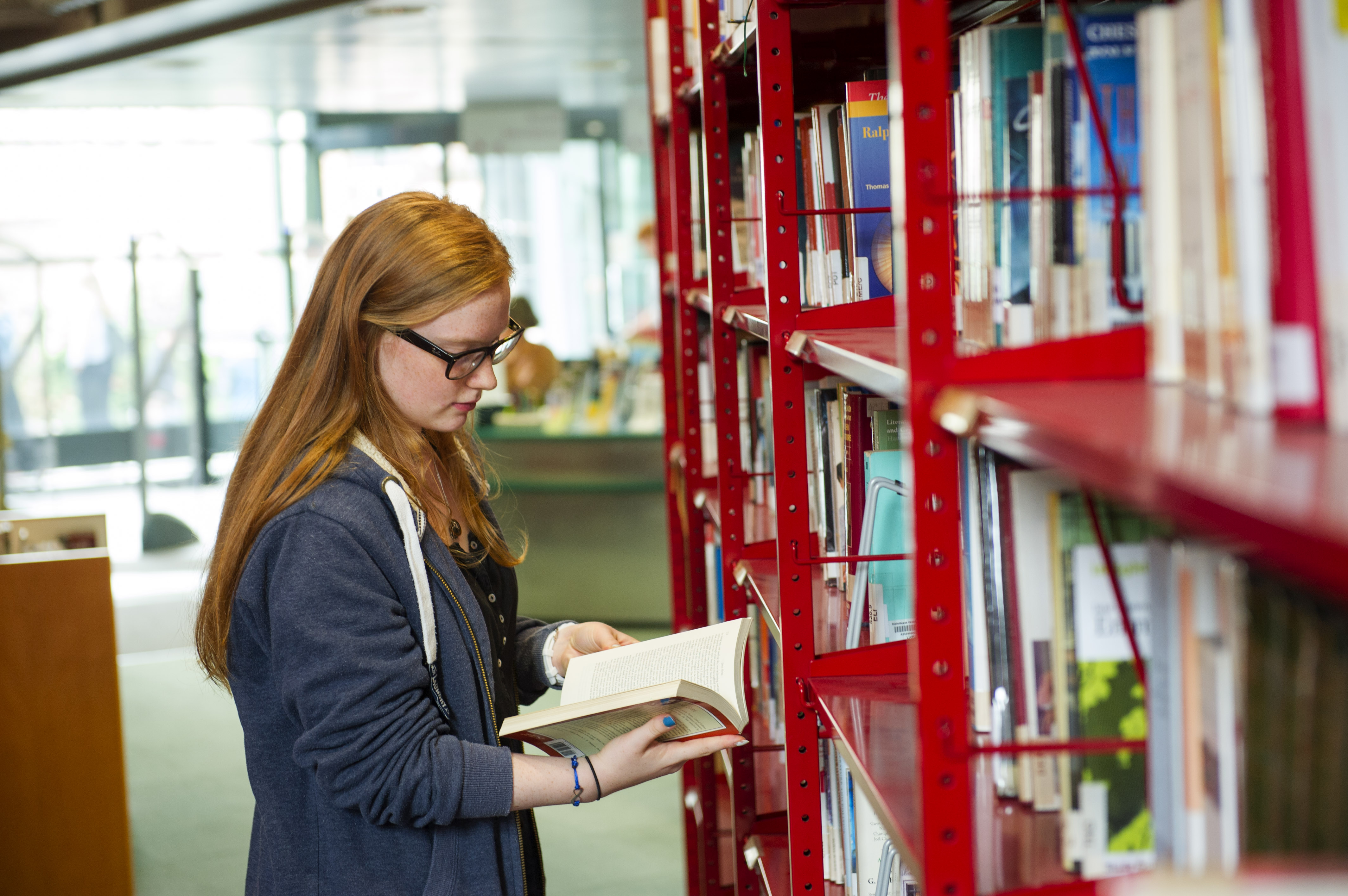 fld lille bibliotheque